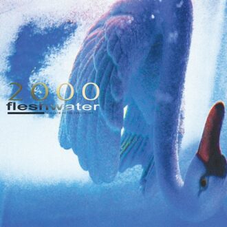 2000: In Search Of The Endless Sky - Fleshwater