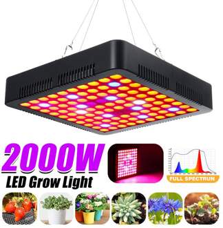 2000W Groeiende Lampen LED Licht Groeien Volledige Spectrum voor Greenhouse Indoor Hydrocultuur Plant Zaailing Bloem Hoge Opbrengst