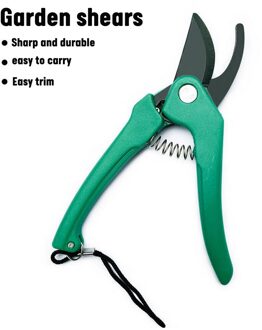 200Mm Scharen Snoeischaar Snoeischaar Snoeien Schaar Bypass Puntenslijper Clippers Tuin Gereedschap Bonsai Bloem Cultiveren Effen Snip Bloemen groen A