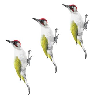 2021top Home Decor Simulatie Groene Specht Muurstickers Woodland Indoor En Outdoor Decoratie Товары Для Дома B