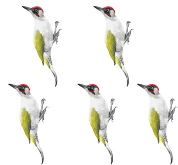 2021top Home Decor Simulatie Groene Specht Muurstickers Woodland Indoor En Outdoor Decoratie Товары Для Дома