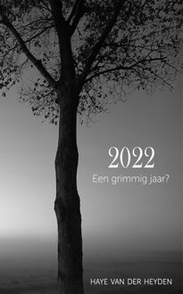 2022. Een grimmig jaar? - Haye Van der Heyden - ebook