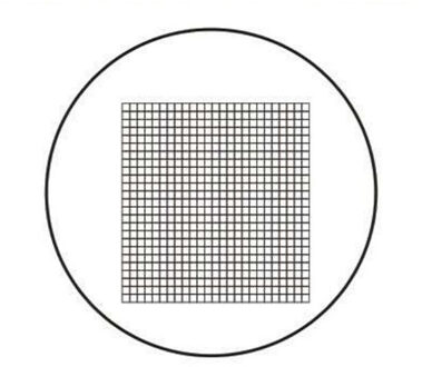 20Mm Microscoop Micrometer Doel Kalibratie Oculair Micrometer X Y Cross Heerser Naald Concentrische Semi-Cirkels Dradenkruis Schaal MS-1-P1