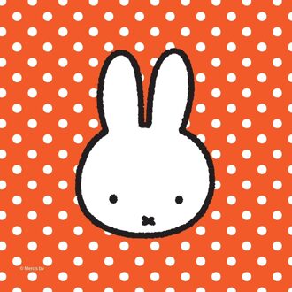 20x Feest/party servetten Nijntje 25 x 25 cm - Feestservetten Rood