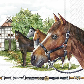 20x Gekleurde 3-laags servetten paarden 33 x 33 cm - Feestservetten Multikleur