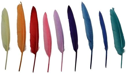20x Gekleurde veertjes/veren - Vogel decoratie veertjes - hobby sierveren