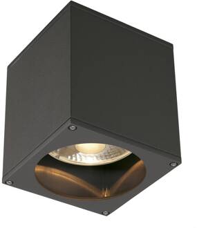 229555 Big Theo Buitenplafondlamp Halogeen, LED GU10 75 W Antraciet