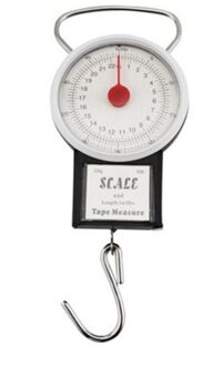22Kg Draagbare Opknoping Schaal Balans Vis Haak Zei Weegschaal Keuken Met Meten Meetlint Vissen Schalen