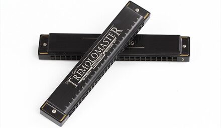 24 hole tremolo harmonica volwassen studenten spelen beginners C harmonica instrument van studenten