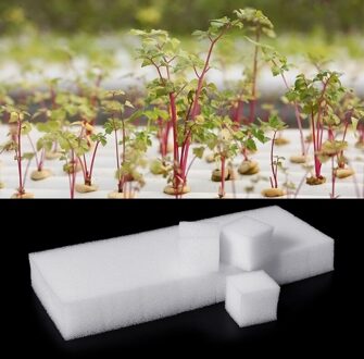 24 spons Cubes Hydrocultuur Grow Media Grondloze Teelt Systeem Tuinieren Tool