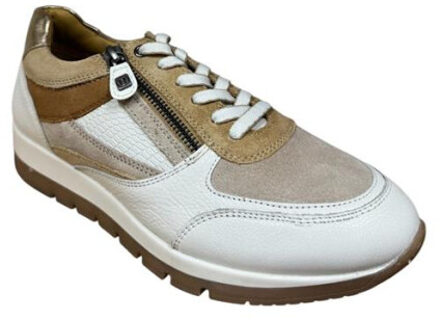 249.005 k Wit - 38,5