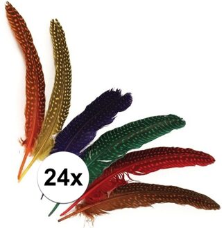24x Gestipte veren in verschillende kleuren