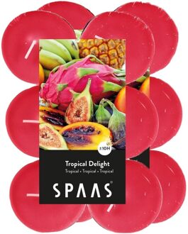 24x Maxi theelichten tropische vruchten geurkaarsen Tropical Delight 10 branduren - geurkaarsen Roze