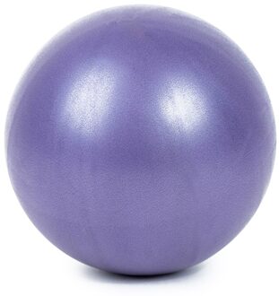 25 Cm 2 Stuks Sport Yoga Ballen Fitness Bal Gym Balanceanti-Burst Dikke Stabiliteit Bal Mini Pilates Barre Fysieke bal paars 1 stk