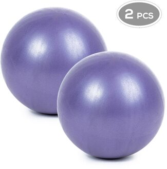25 Cm 2 Stuks Sport Yoga Ballen Fitness Bal Gym Balanceanti-Burst Dikke Stabiliteit Bal Mini Pilates Barre Fysieke bal paars 2 stk