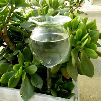 25 # Tuin Glas Watering Sprinkler Indoor Bloem Drip Drinken Fonteinen Tuinieren Ingemaakte Automatische Irrigatie Gereedschap