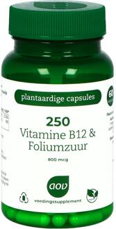 250 Vitamine B12 & Foliumzuur