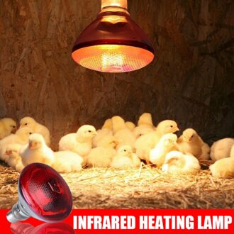 250W Infrarood Warmte Lamp Waterdicht Anti-Explosie Verdikte Gloeilampen Voor Knorretje Kip Eend Vogels ANDF889
