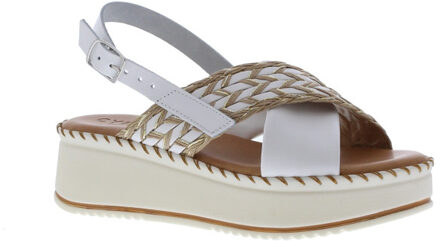 2510013 | dames | maat: | combinatie - maat 39 Wit