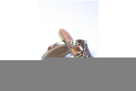 25300 slippers Bruin - 39