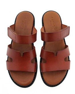 25390 slippers Bruin - 38