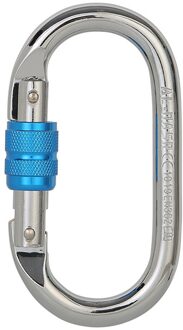 25KN Klimmen Karabijnhaak Schroef Locking Gate Karabijnhaak Zware O-Vorm Staal Hangmat Gesp Klimmen Wandelen Accessoires zilver