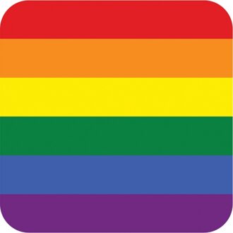 25x Regenboog thema bierviltjes - Bierfiltjes Multikleur