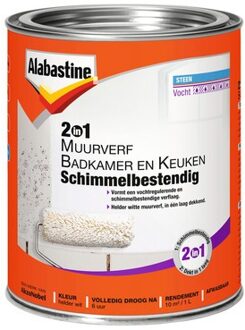 2In1 Badkamer&Keukenverf wit 1L