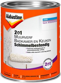 2In1 Badkamer&Keukenverf wit 1L