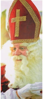 2LIF Sinterklaas foto banner/banier/vlag - groot - 75 x 180 cm - polyester - welkom Sint spandoek Multi