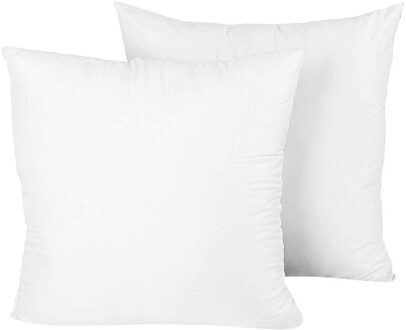 2Pc Kussen Core Case Kussen Interieur Home Decor Down Substituut Polyester Kussen Kern Voor Sofa Auto Kussen Kern 45x45cm
