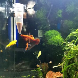 2Pcs Automatische Vis Feeder Tapered Aquarium Worm Feeder Trechter Cup Met Zuignap