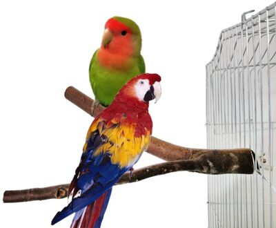 2Pcs Natutal Houten Vogel Papegaai Speelgoed Ruw Vogel Baars Kooi Play Stand Platform