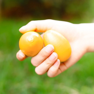 2pcs Wooden Maracas Egg Shakers Musical Percussion Instrument Eggs Percussion Music Instruments