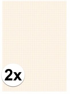 2x 25 vel millimeter papier blok - Hobbypapier Wit