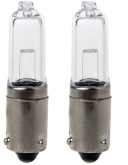 2x BAY9S H21W Gloeilamp Backup Indicator Fog Auto Lamp 12V 1.9A 250LM