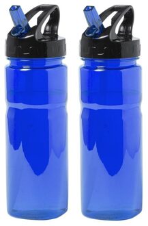 2x Blauwe drinkfles/waterfles 650 ml
