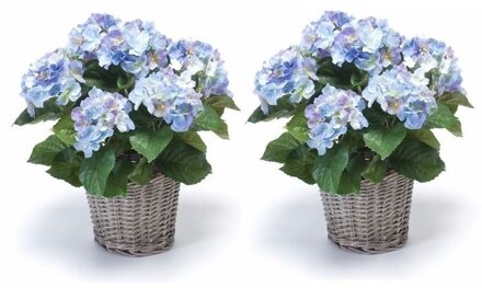 2x Blauwe Hortensia plant in mand 45 cm - Kunstplanten Groen