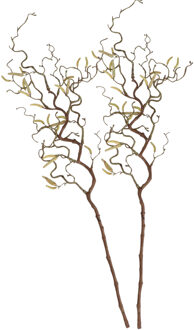 2x Bruine kronkelhazelaar paastak 66 cm - Paastakken