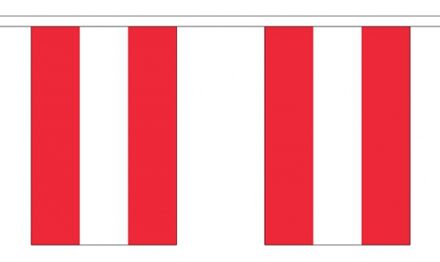 2x Buiten vlaggenlijn Oostenrijk 3 meter - Oostenrijkse vlag - Supporter feestartikelen - Landen decoratie en versieringen