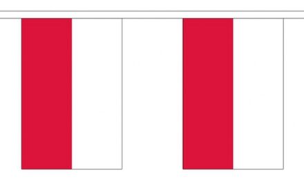 2x Buiten vlaggenlijn Polen 3 meter - Poolse vlag - Supporter feestartikelen - Landen decoratie en versieringen