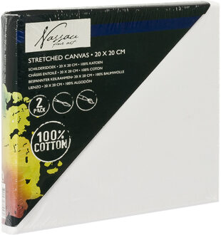 2x Canvas schildersdoeken 20 x 20 cm voor hobby verven/schilderen Wit