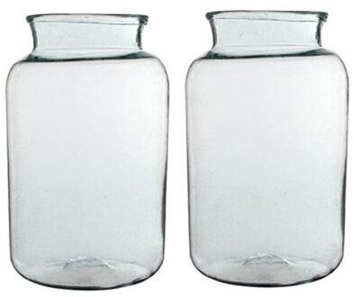 2x Cilinder vaas / bloemenvaas transparant glas 40 x 23 cm