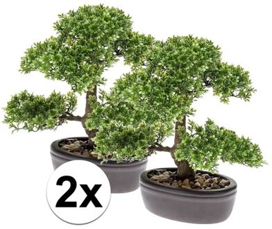 2x Ficus Mini Bonsai kamerplanten 32 cm - Kunstplanten Groen