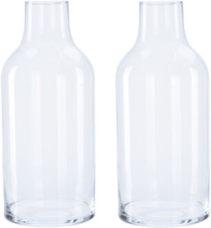 2x Flesvormige bloemenvazen/decoratie vazen/boeketvazen transparant glas 3300 ml - Vazen