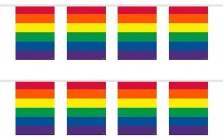 2x Gay Pride regenboog kleuren thema vlaggenlijnen 10 meter per stuk - LHBT thema artikelen
