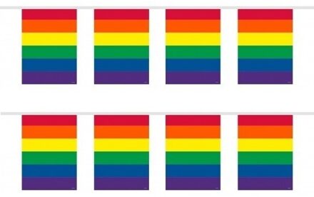 2x Gay Pride regenboog kleuren thema vlaggenlijnen 10 meter per stuk - LHBT thema artikelen