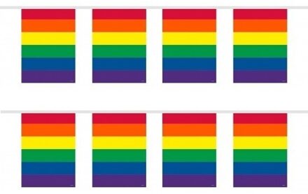 2x Gay Pride regenboog vlaggenlijnen 10 meter Multi