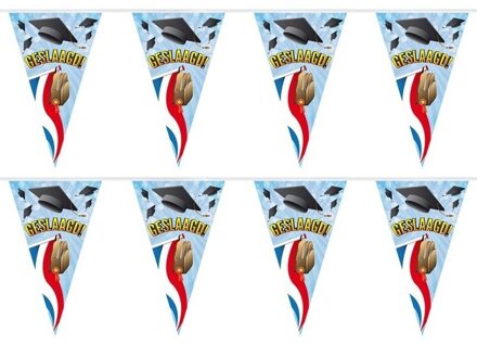 2x Geslaagd/afgestudeerd vlaggenlijnen/slingers tas 10 m - Feestartikelen versiering