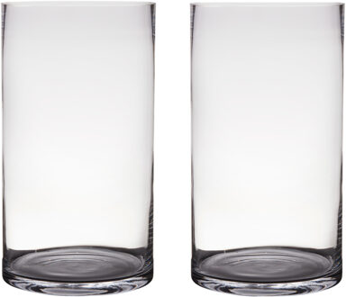 2x Glazen bloemen cylinder vaas/vazen 45 x 25 cm transparant - Vazen